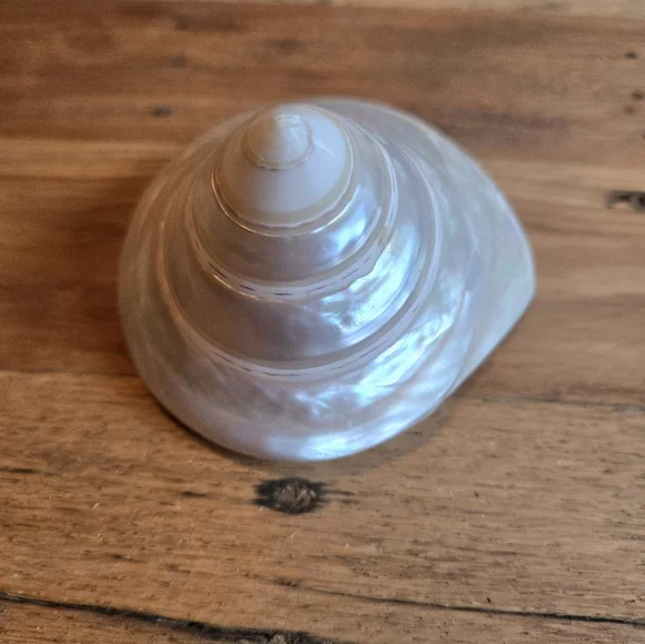 MERMAID LOVE BUNDLE - MERMAID METAL HOOK, MERMAID DECOR SIGN, & PEARL SHELL - Picture 5 of 8